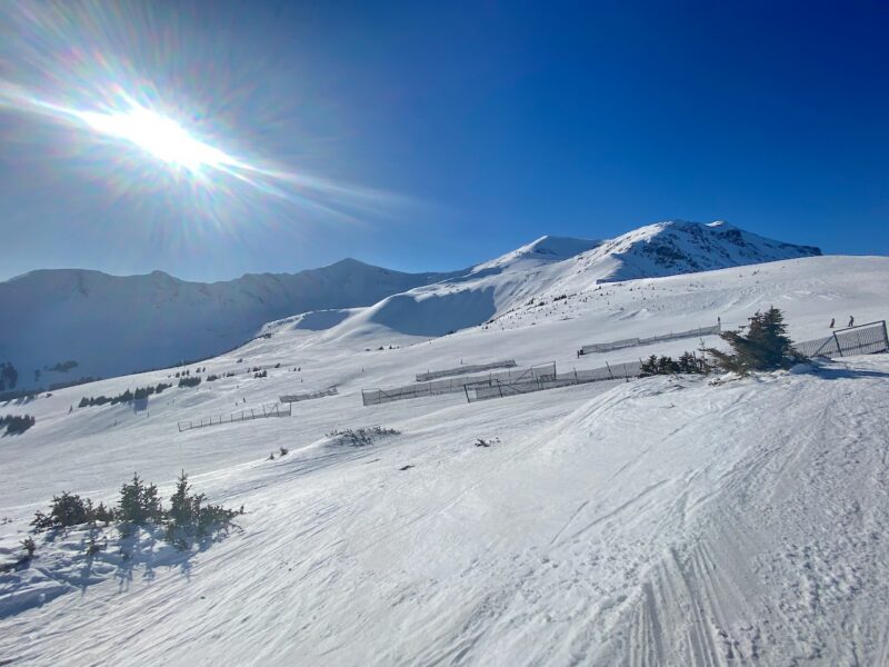Marmot Basin, Jasper, Canada. Image © PlanetSKI
